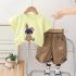 Комплект от Тениска с Модерна Апликация и Меланжиран, Къс Панталон Bunny Swag Lime - 2 части