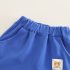 Комплект от Тениска с Класическа Яка и Къс Панталон Smart Collar Blue - 2 части