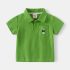 Спортно - Елегантен Комлект от Блузка с Класическа Яка и Къс Панталон Teddy Polo Green - 2 части