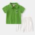 Спортно - Елегантен Комлект от Блузка с Класическа Яка и Къс Панталон Teddy Polo Green - 2 части