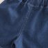 Комплект от Тениска и Дънков, Къс Панталон с Контрастен Шев Jurassic Denim - 2 части