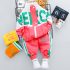 Спортен Комплект с Модерен Бомбър и Висока Яка Bright Miss Watermelon Juaduola
